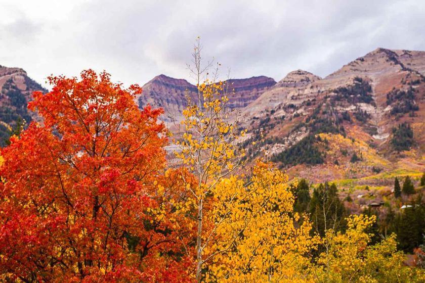 Villa Hideaway Above The Stream Sundance, Utah Exterior foto